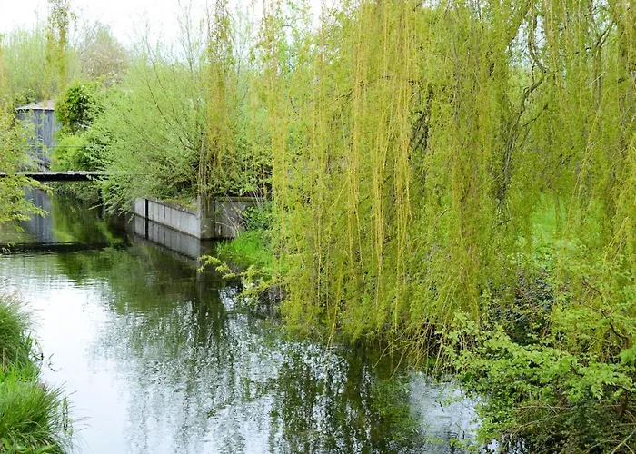 Le Quai Huppe, Voie 1 Noyelles-sur-Mer
